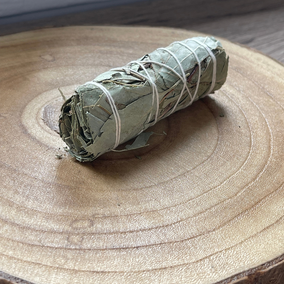 Fagot d'Eucalyptus Naturel – Purification & Renouveau